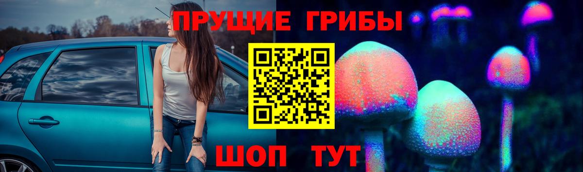 Назрань  Псилоцибиновые грибы GOLDEN TEACHER  Вход с VPN  Псилоцибиновые грибы прущие грибы 